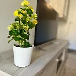 Sole&lago Sul D'iseo A Апартаменты Сарнико