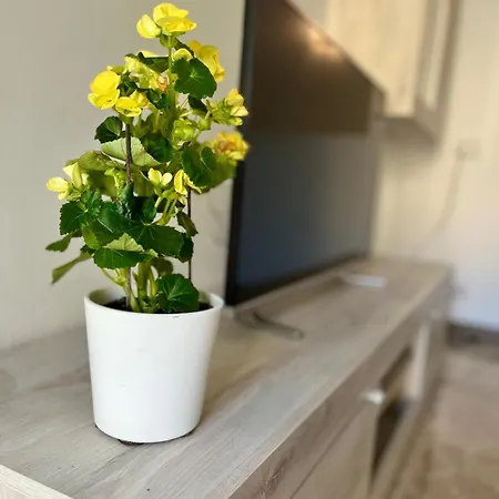 Sole&lago Sul D'iseo A Appartement Sarnico